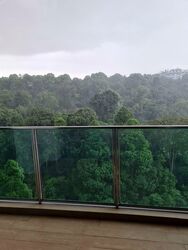 Normanton Park (D5), Apartment #547765891
